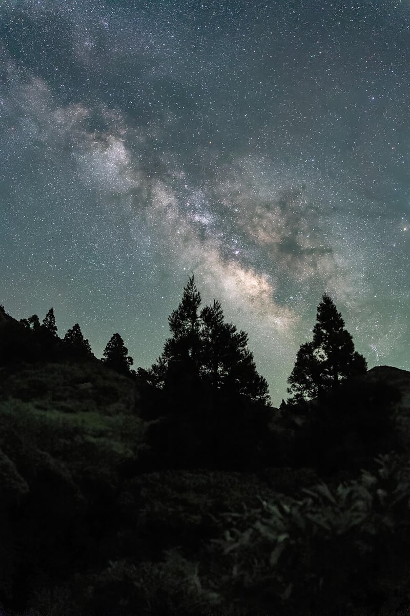 Starlit Rooftop Garden